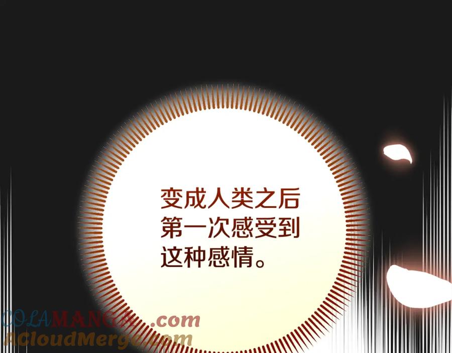 穿越成怪物太子的夫人 第12话 安诗雅，对不起 第257页