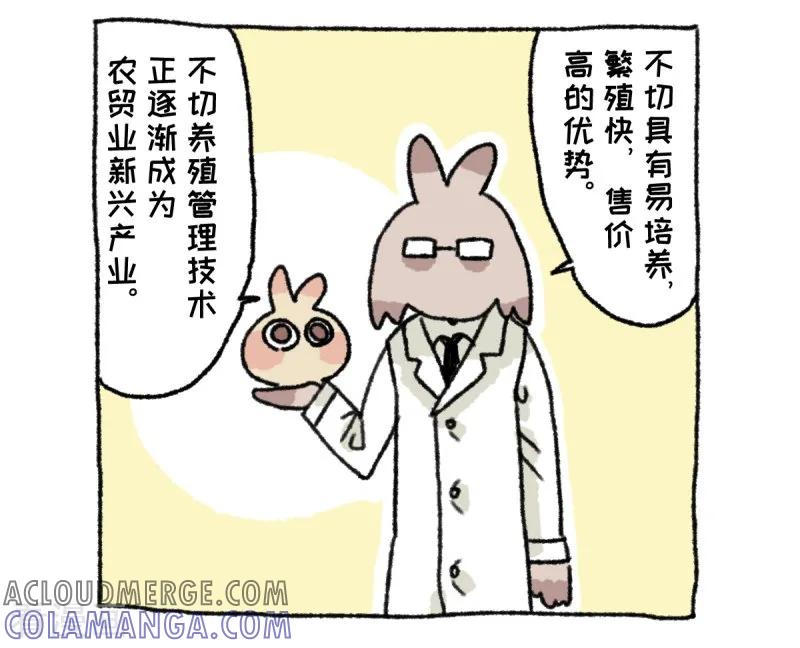 《不切传说》第36话 关于不切 第21页