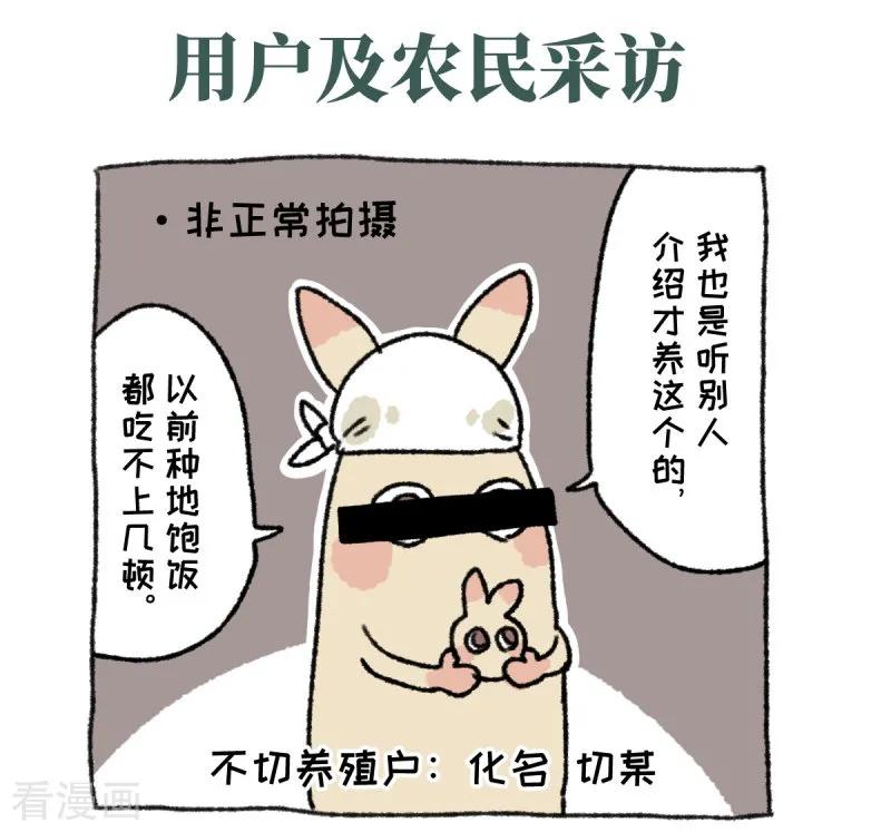 《不切传说》第36话 关于不切 第22页