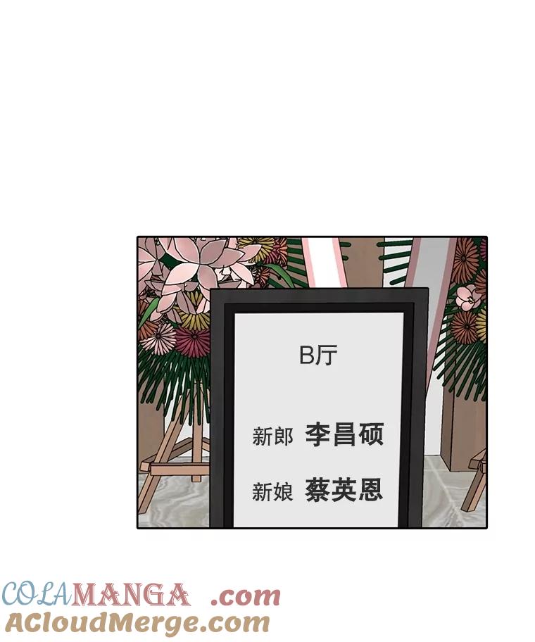 《网络小说出逃记》83.参加婚礼 第88页