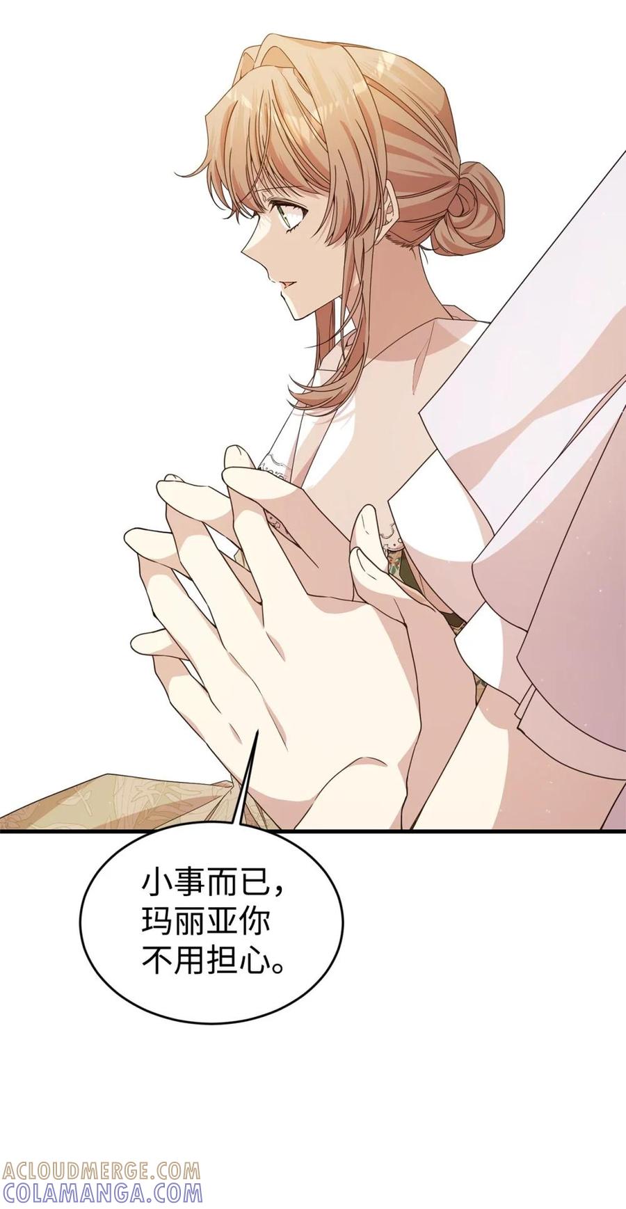 《虽然是魂穿游戏世界里女主的姐粉》38 记忆探查 第33页