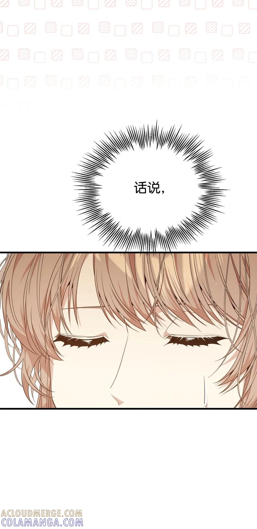 《虽然是魂穿游戏世界里女主的姐粉》41 聘礼 第85页