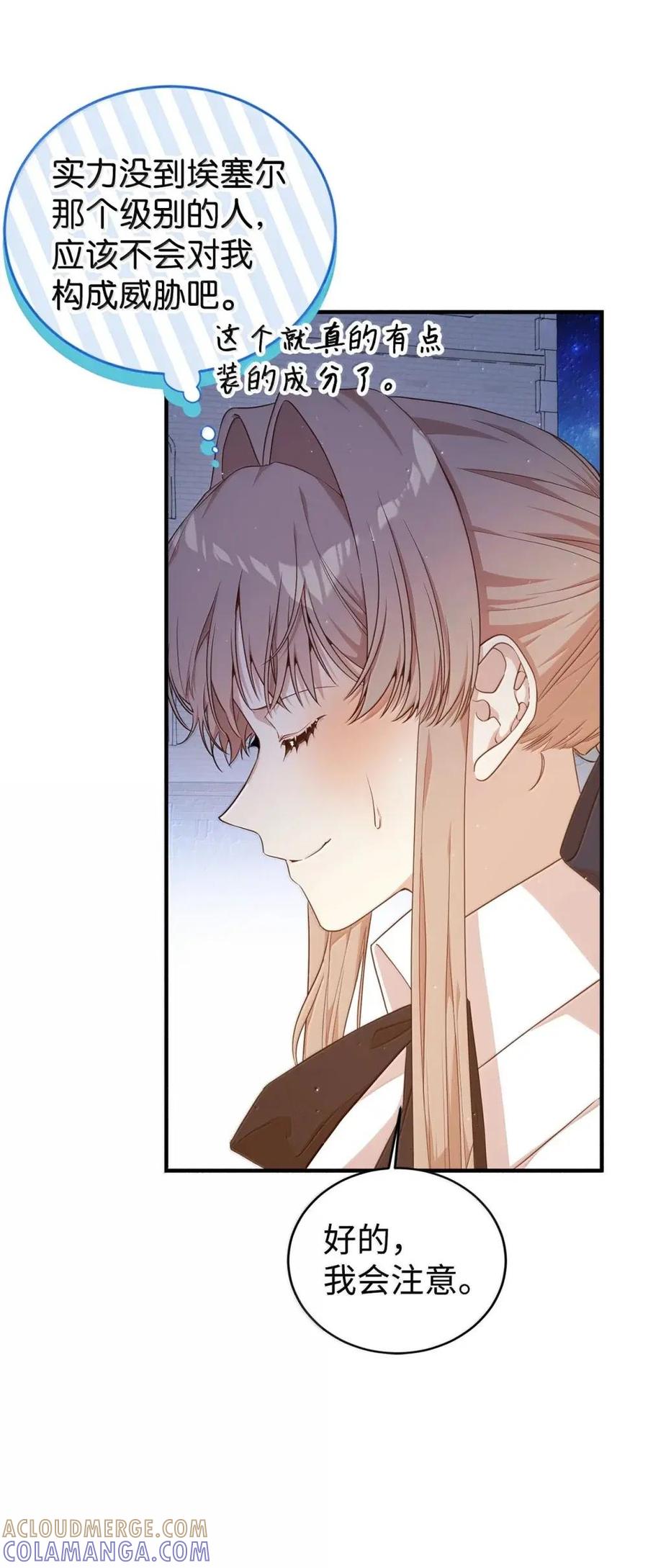《虽然是魂穿游戏世界里女主的姐粉》52 庆典 第55页