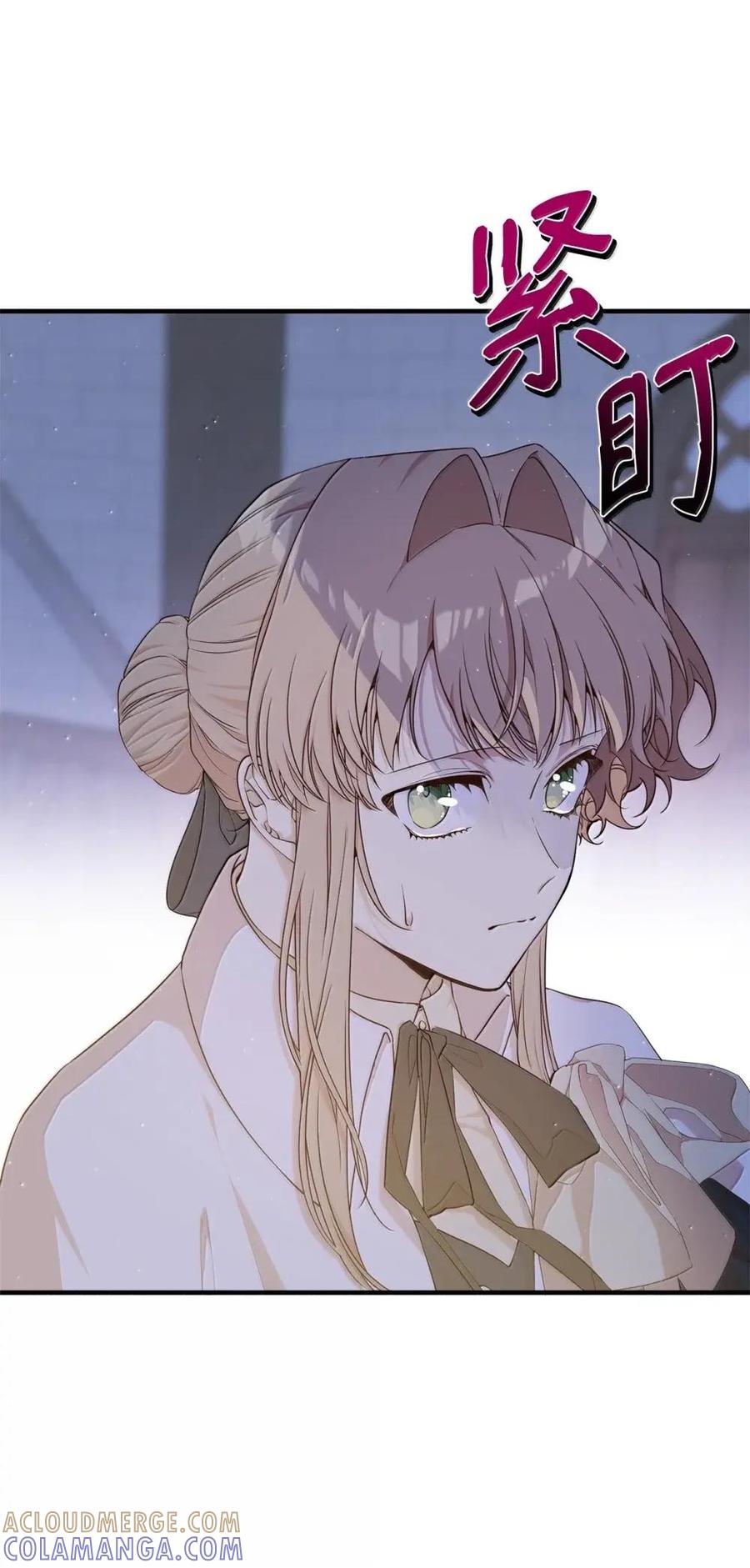 《虽然是魂穿游戏世界里女主的姐粉》52 庆典 第58页