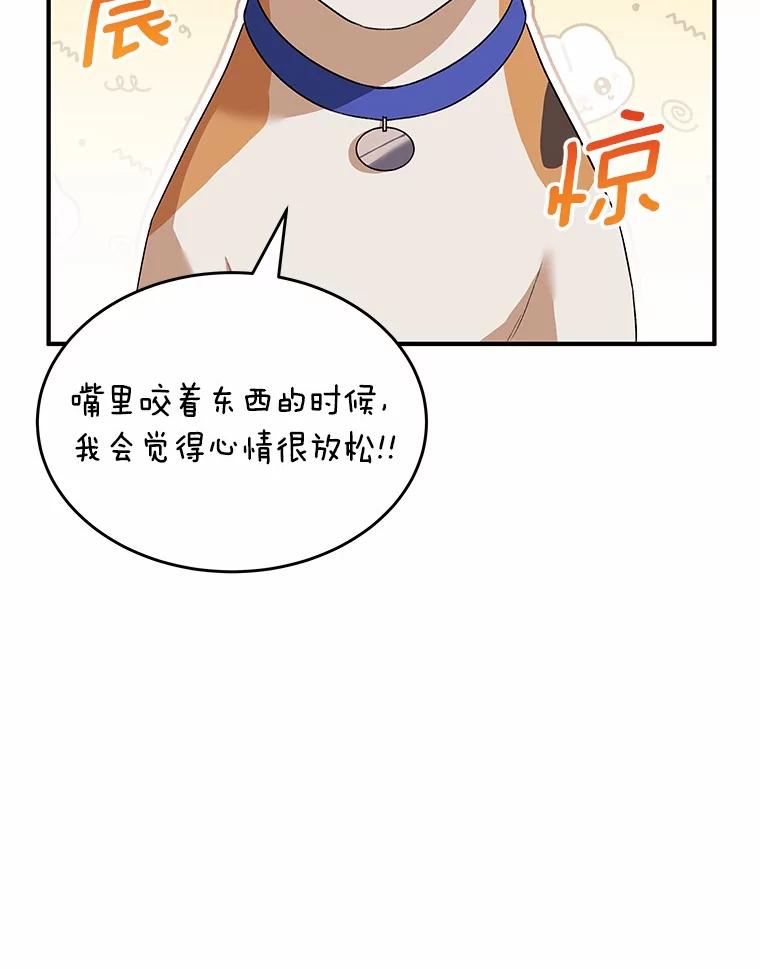 《你好？兽医先生！》9.比格大魔王 第60页
