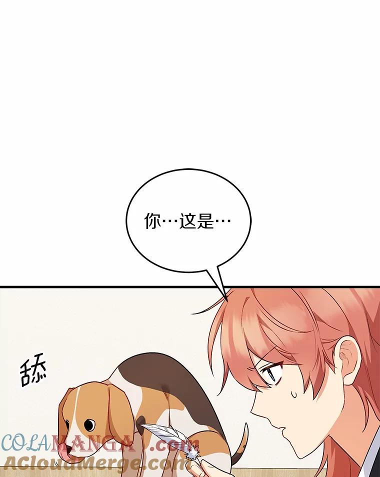 《你好？兽医先生！》9.比格大魔王 第29页