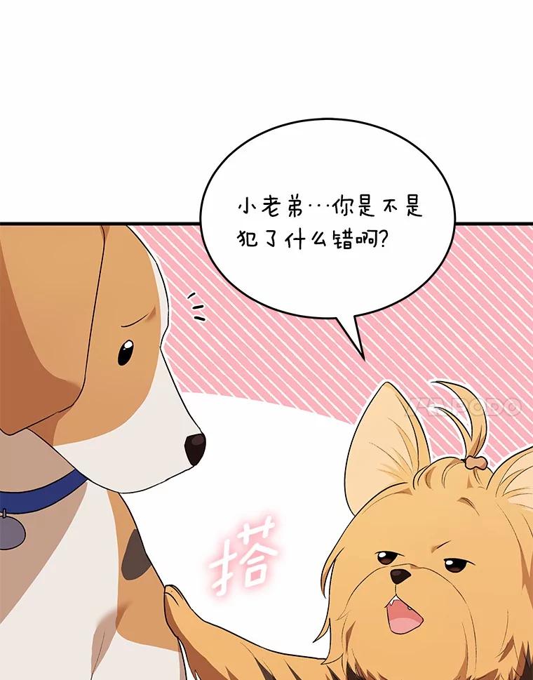 《你好？兽医先生！》9.比格大魔王 第56页