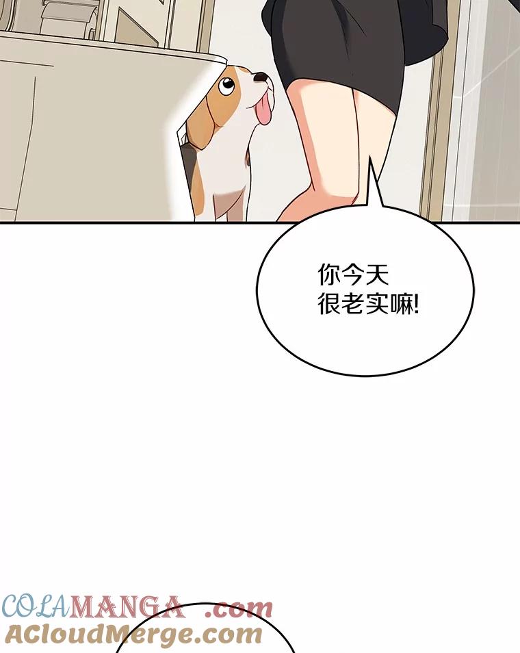 《你好？兽医先生！》9.比格大魔王 第25页