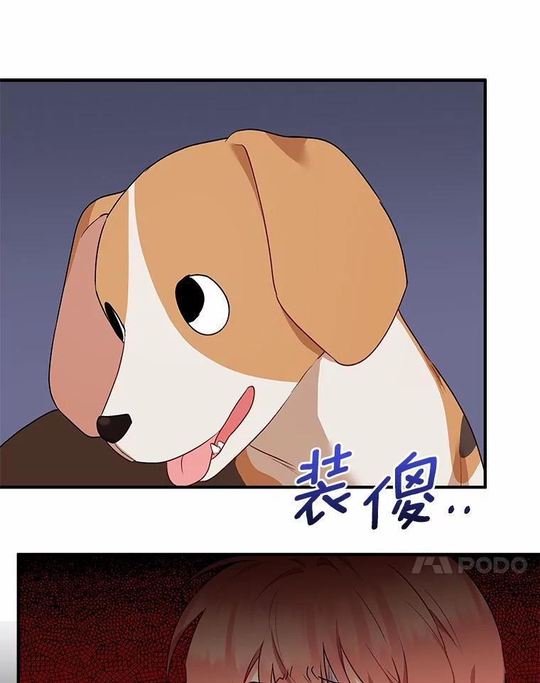 《你好？兽医先生！》9.比格大魔王 第34页