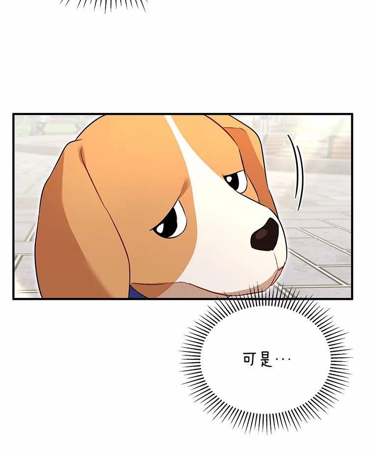 《你好？兽医先生！》9.比格大魔王 第67页
