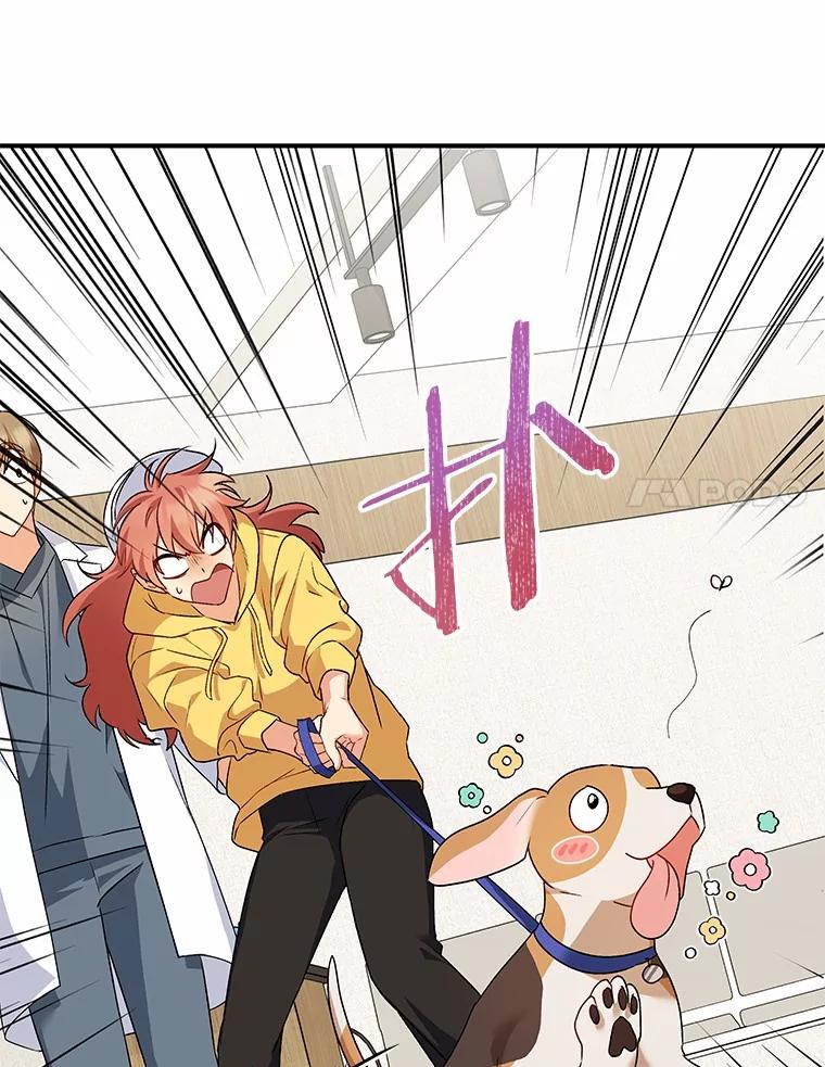 《你好？兽医先生！》10.分离焦虑 第14页