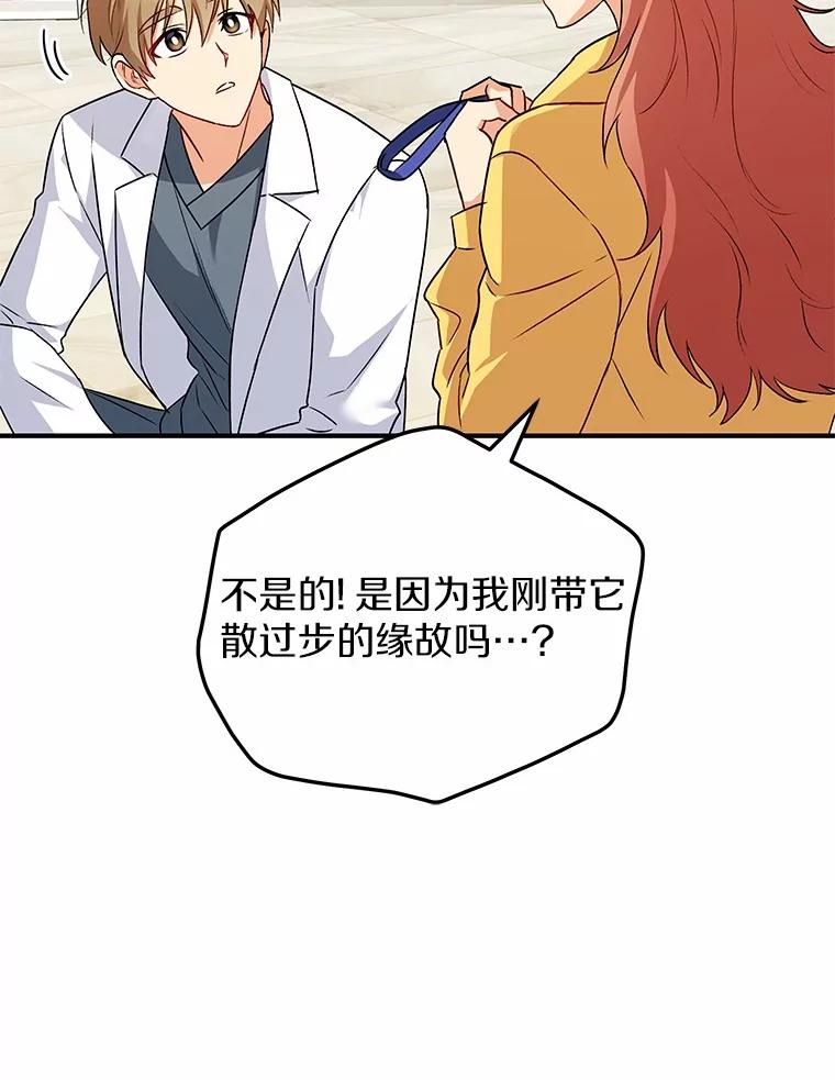 《你好？兽医先生！》10.分离焦虑 第26页