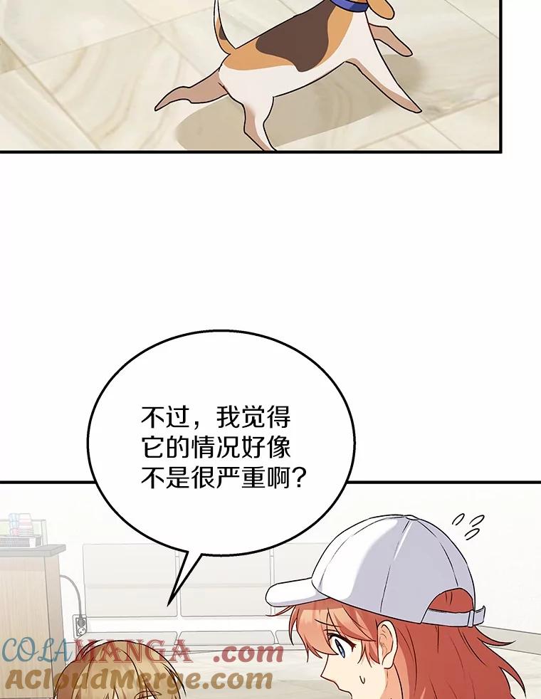 《你好？兽医先生！》10.分离焦虑 第25页