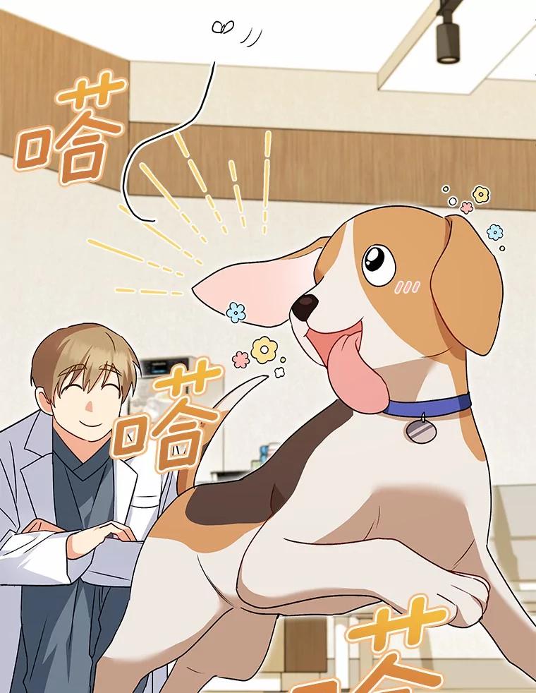 《你好？兽医先生！》10.分离焦虑 第23页