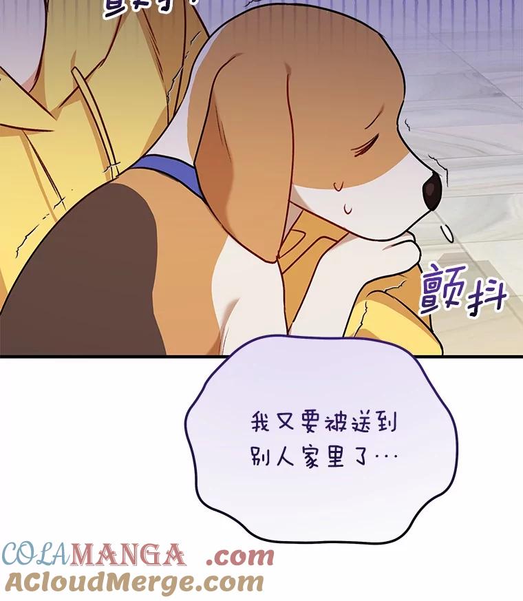 《你好？兽医先生！》10.分离焦虑 第81页