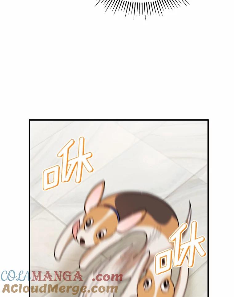 《你好？兽医先生！》10.分离焦虑 第33页
