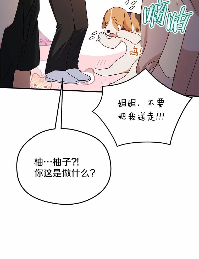 《你好？兽医先生！》10.分离焦虑 第92页