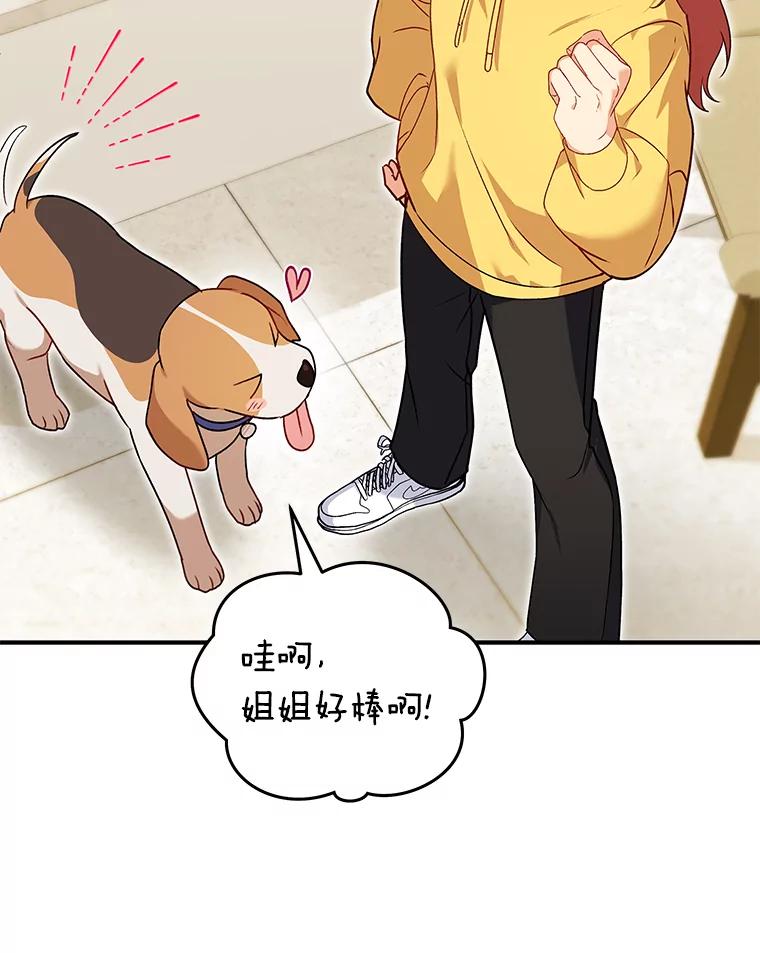 《你好？兽医先生！》10.分离焦虑 第126页