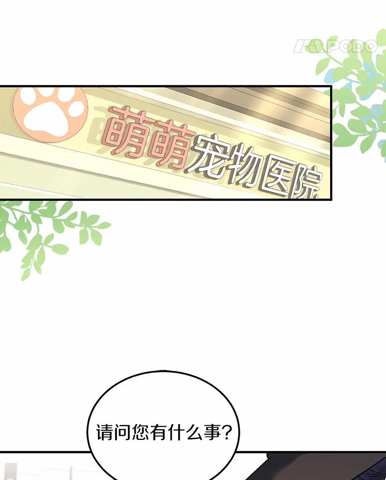 《你好？兽医先生！》11.可疑的男人 第11页