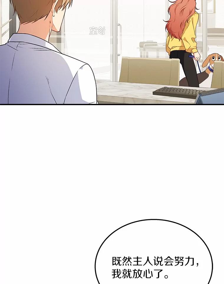 《你好？兽医先生！》11.可疑的男人 第3页