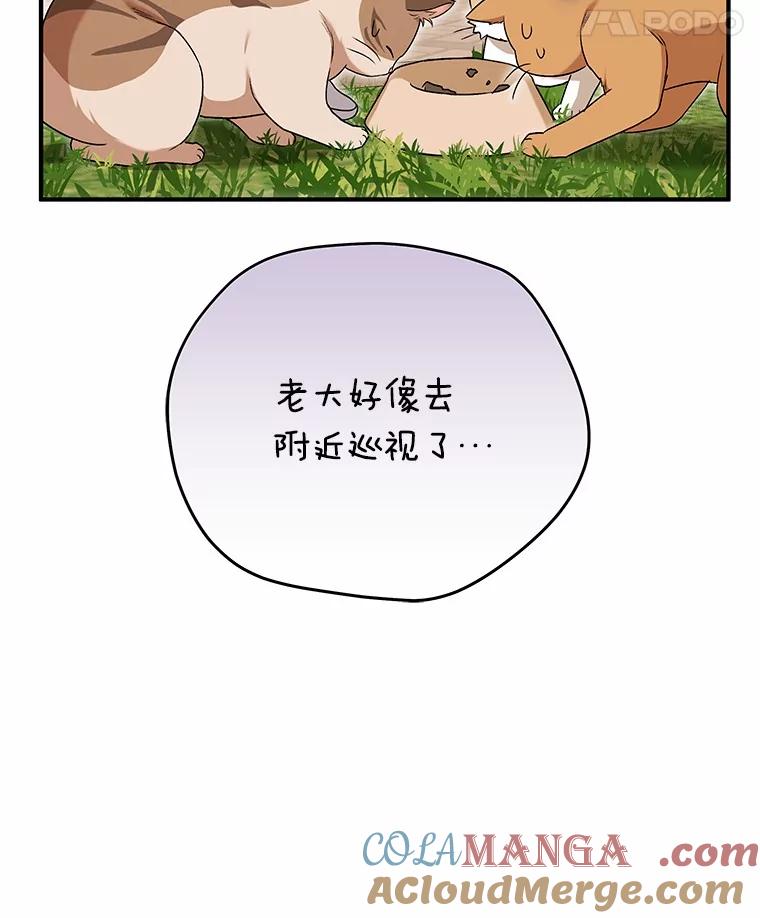 《你好？兽医先生！》11.可疑的男人 第73页