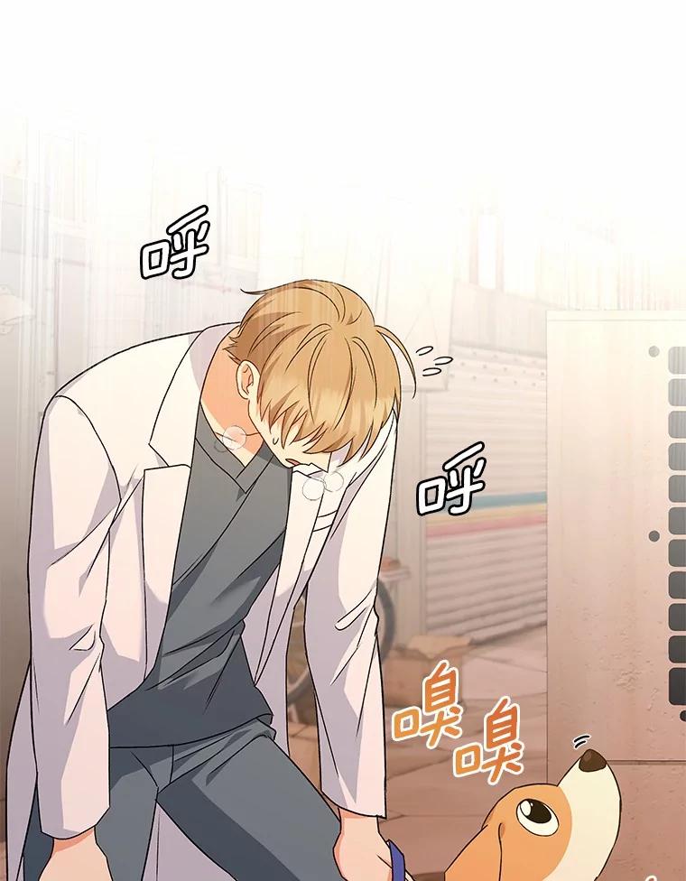 《你好？兽医先生！》12.消失的银雨 第78页