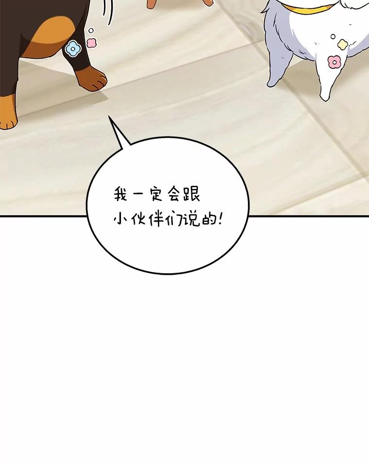 《你好？兽医先生！》12.消失的银雨 第10页