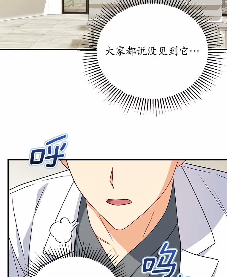 《你好？兽医先生！》12.消失的银雨 第14页