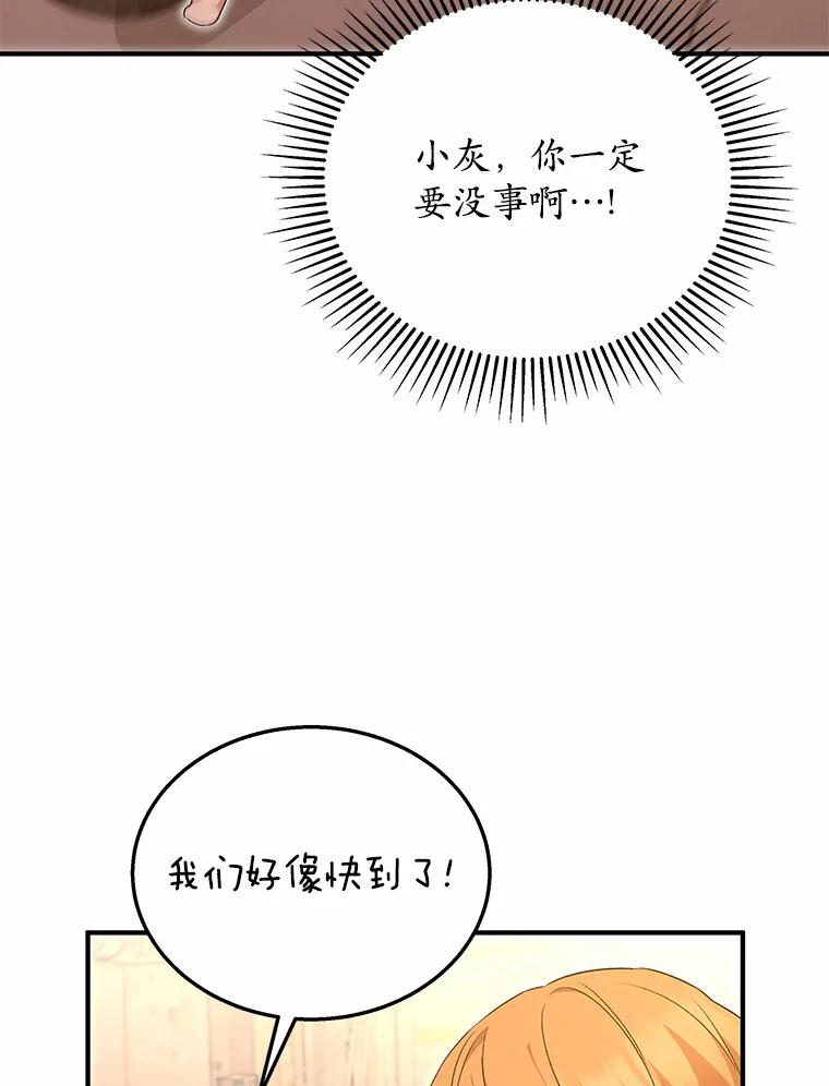 《你好？兽医先生！》12.消失的银雨 第90页