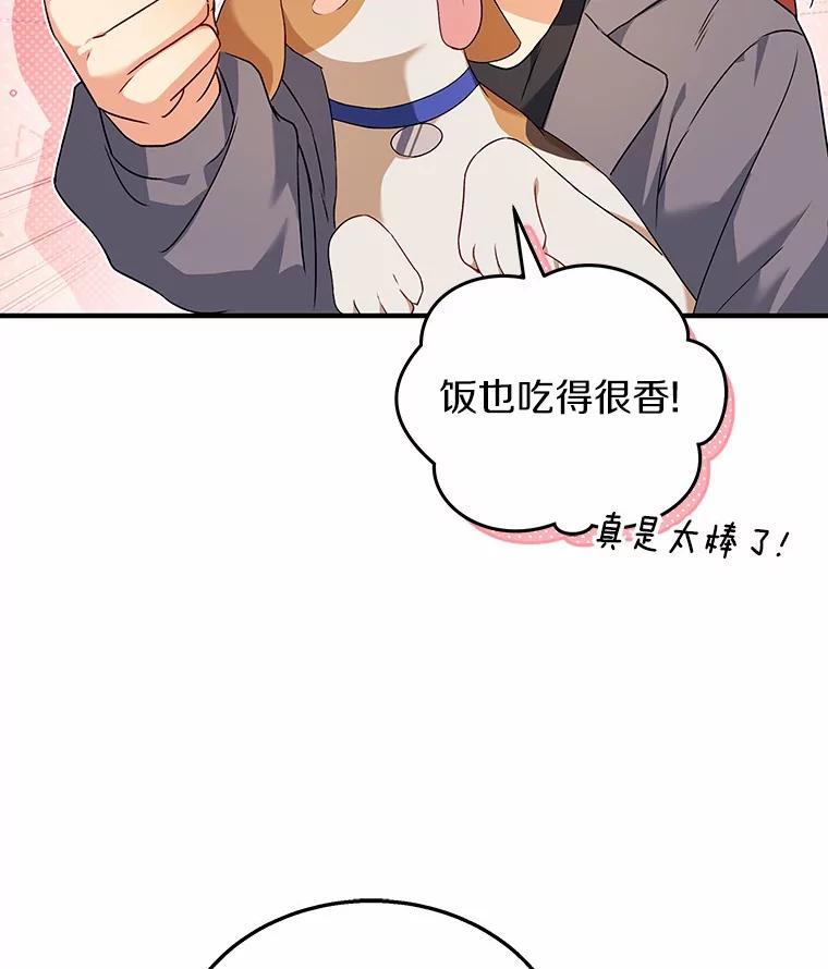 《你好？兽医先生！》12.消失的银雨 第23页