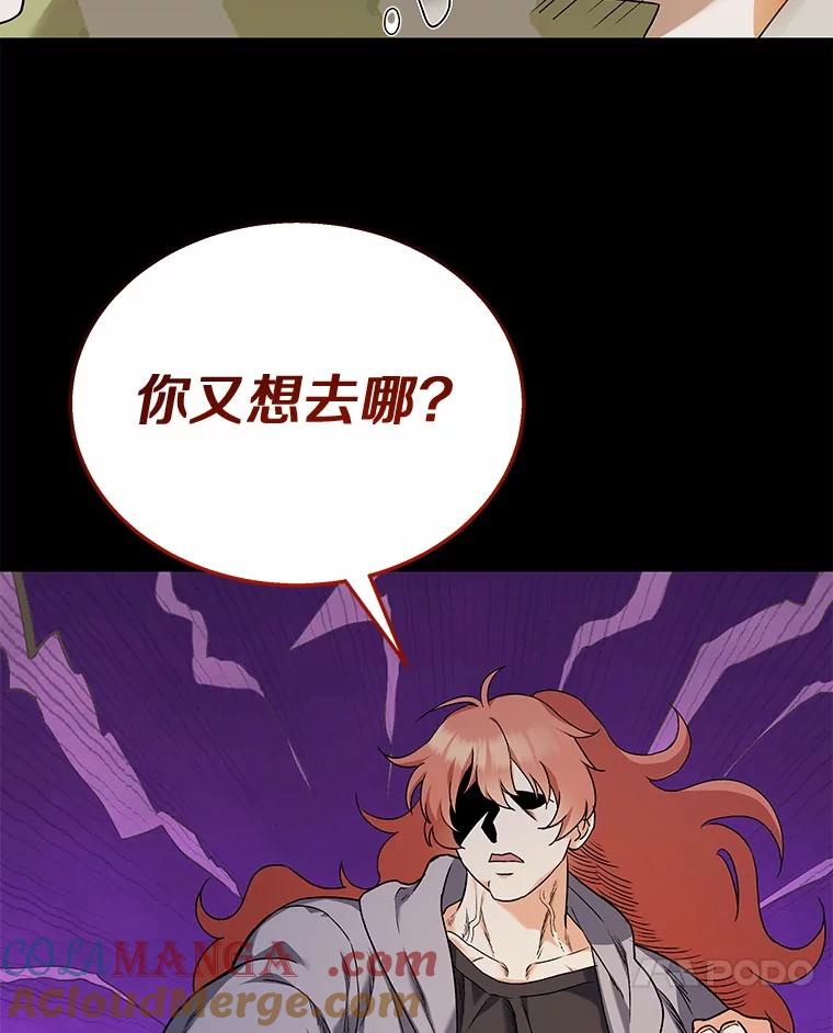《你好？兽医先生！》12.消失的银雨 第45页