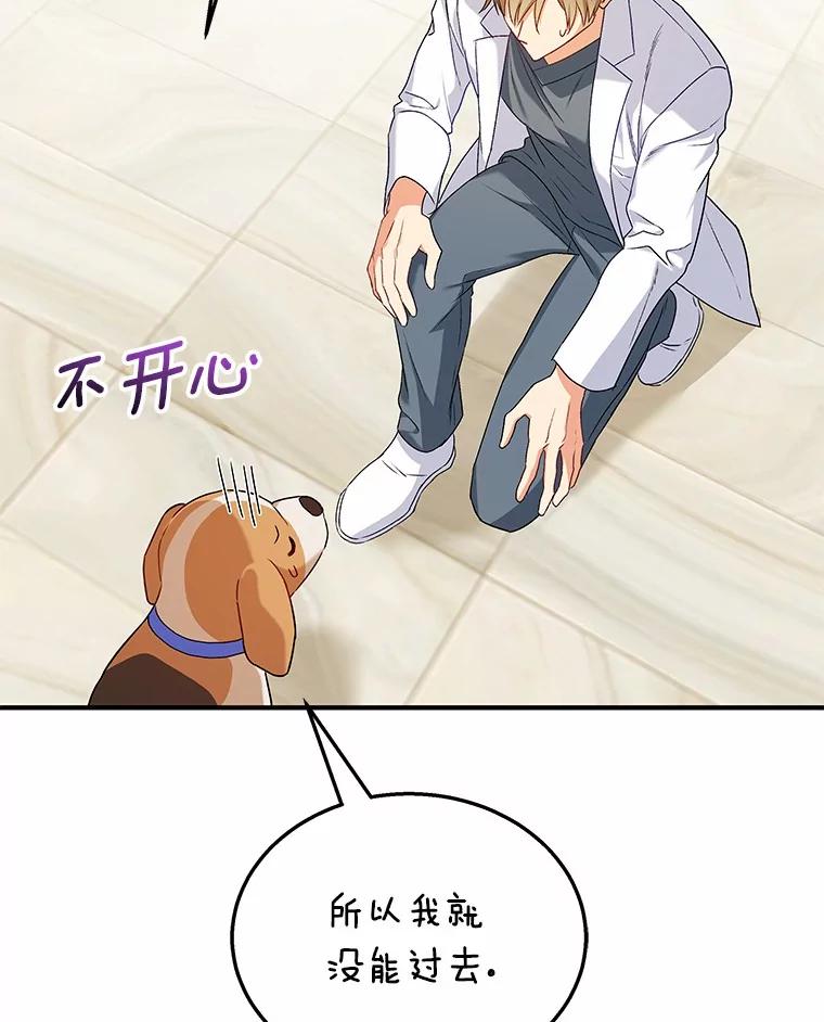 《你好？兽医先生！》12.消失的银雨 第48页
