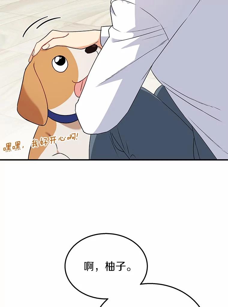 《你好？兽医先生！》12.消失的银雨 第28页
