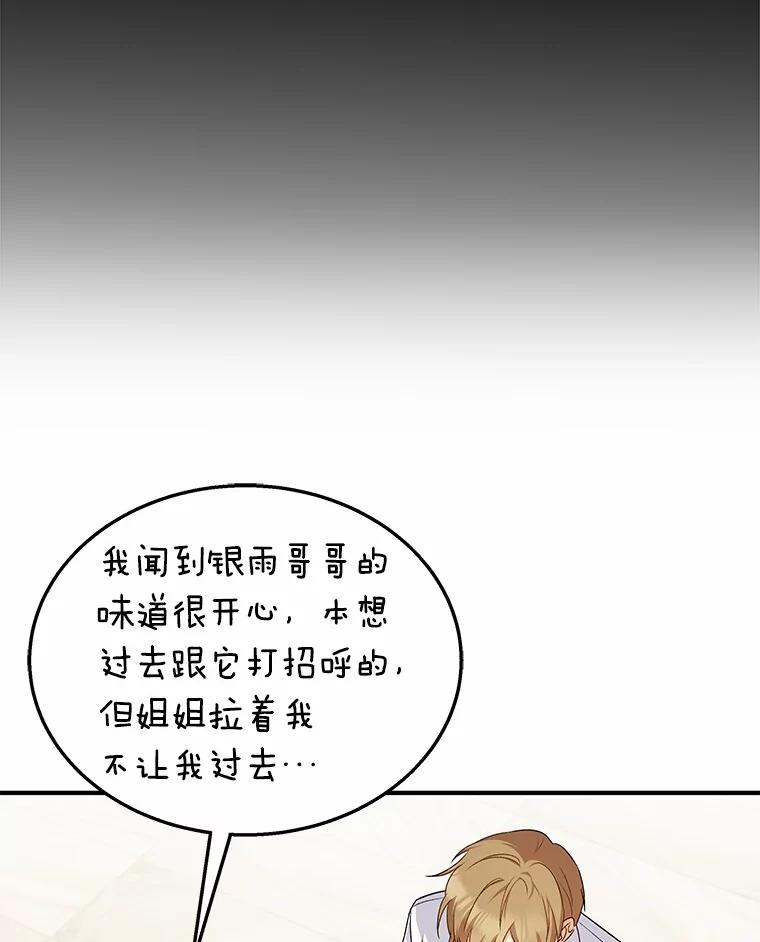 《你好？兽医先生！》12.消失的银雨 第47页