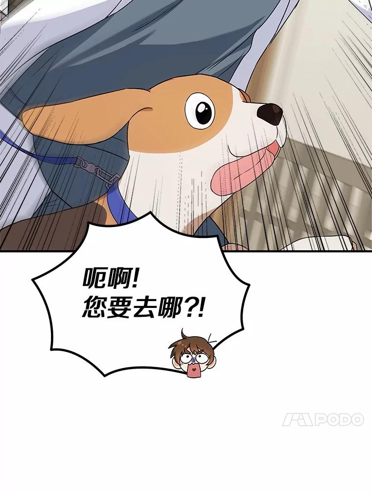 《你好？兽医先生！》12.消失的银雨 第62页