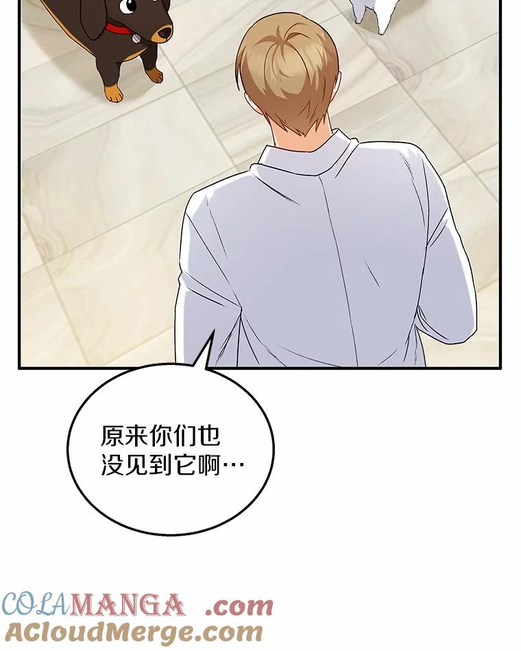 《你好？兽医先生！》12.消失的银雨 第5页