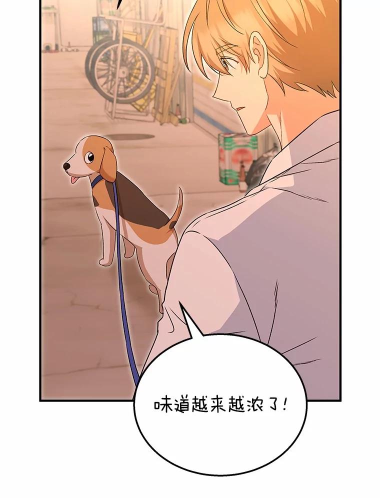 《你好？兽医先生！》12.消失的银雨 第91页