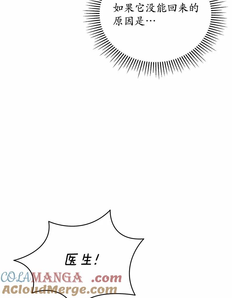《你好？兽医先生！》12.消失的银雨 第85页
