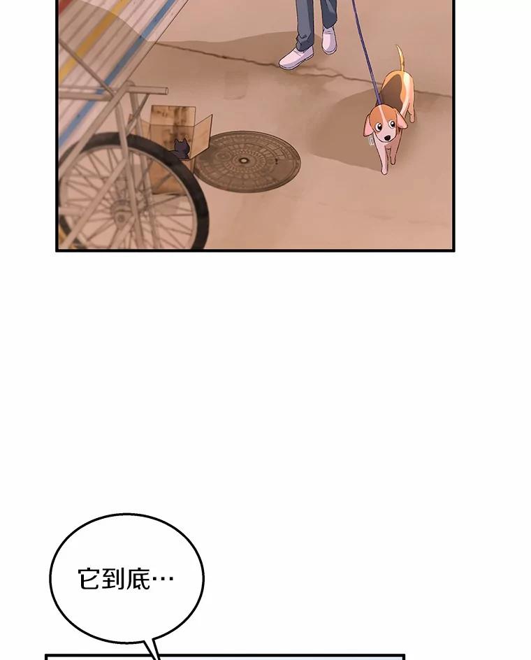 《你好？兽医先生！》12.消失的银雨 第98页