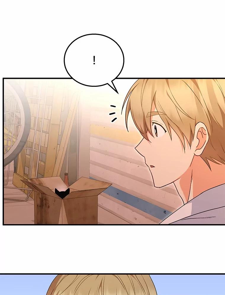 《你好？兽医先生！》12.消失的银雨 第94页