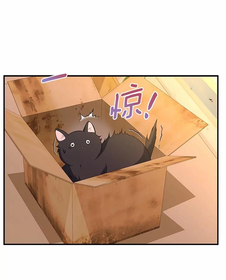 《你好？兽医先生！》12.消失的银雨 第96页