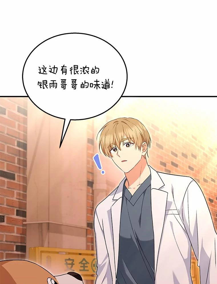 《你好？兽医先生！》12.消失的银雨 第87页