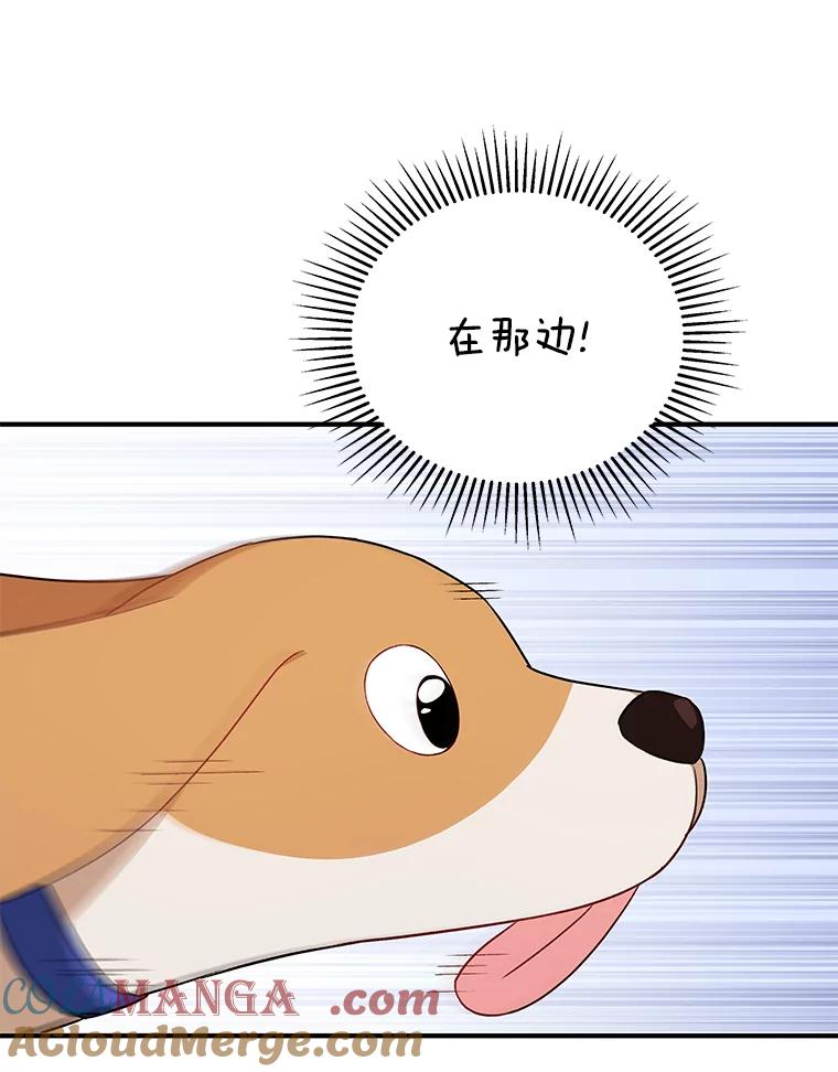 《你好？兽医先生！》12.消失的银雨 第73页