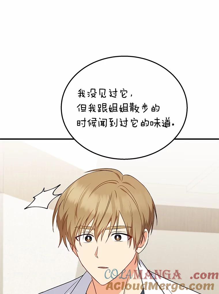 《你好？兽医先生！》12.消失的银雨 第33页