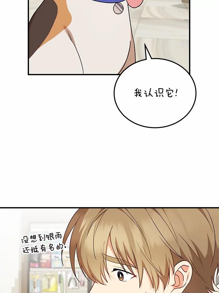 《你好？兽医先生！》12.消失的银雨 第31页