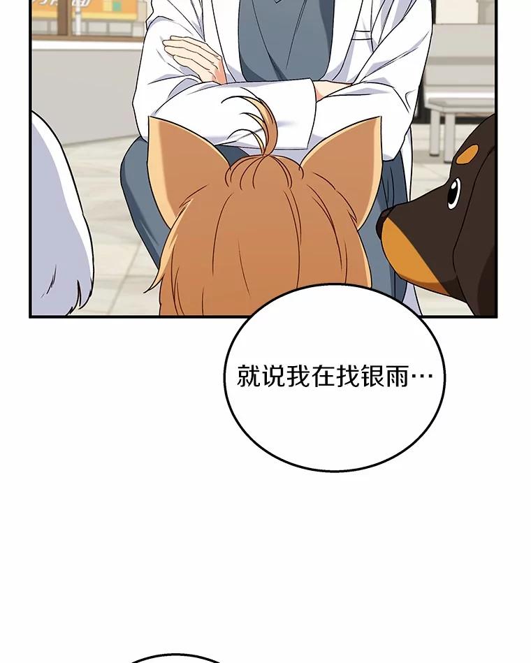 《你好？兽医先生！》12.消失的银雨 第8页