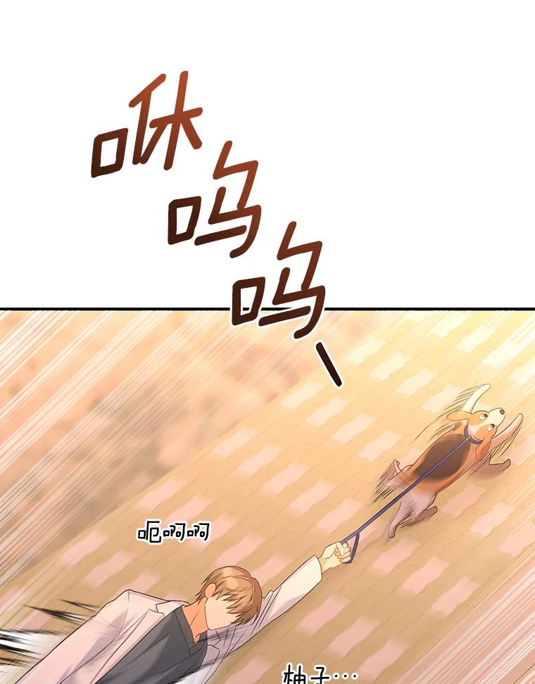 《你好？兽医先生！》12.消失的银雨 第75页
