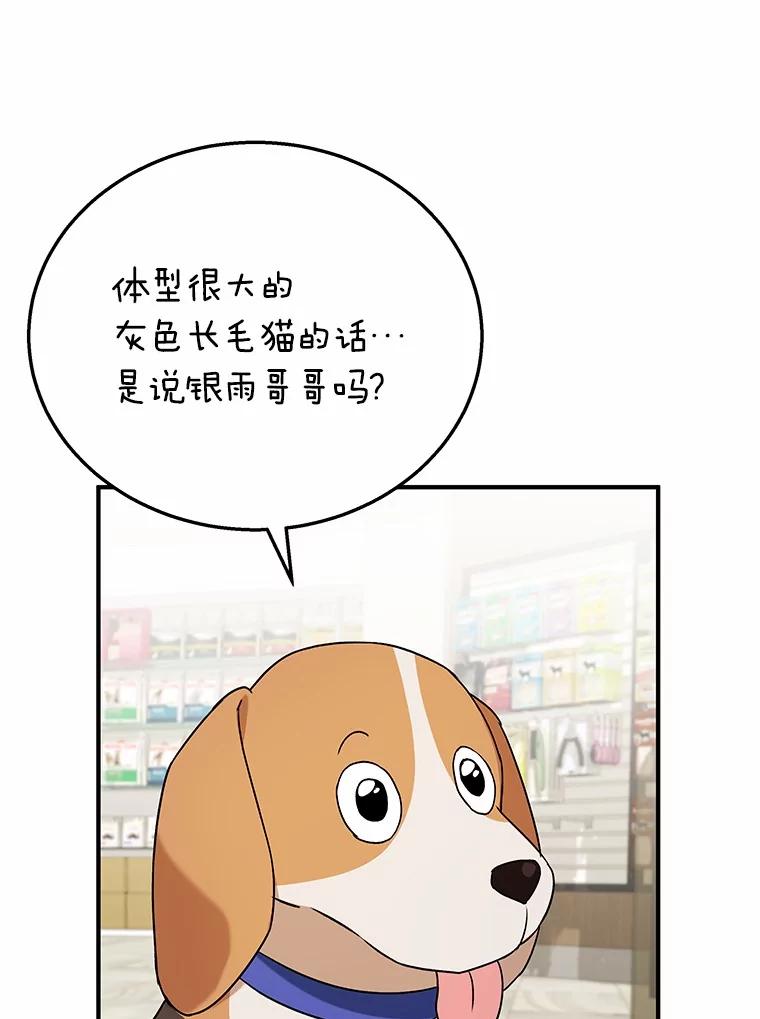 《你好？兽医先生！》12.消失的银雨 第30页