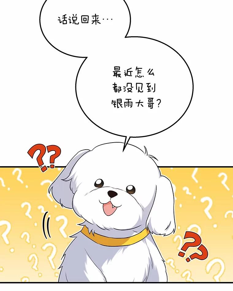 《你好？兽医先生！》12.消失的银雨 第3页