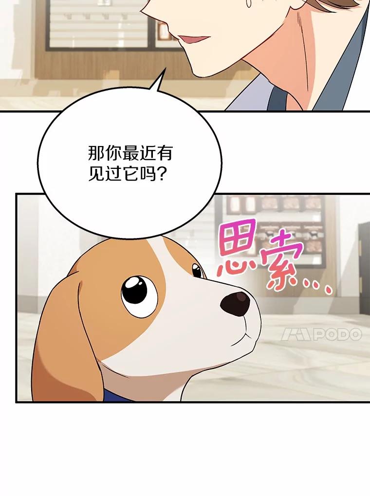 《你好？兽医先生！》12.消失的银雨 第32页